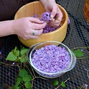 Folk Remedies fir d'Behandlung vu Schmerz an de Gelenker vun de Fangeren